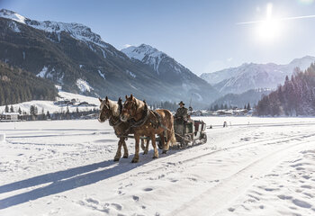 Pferdeschlittenfahrt in Wald