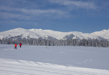 Langlaufen Hochkrimml