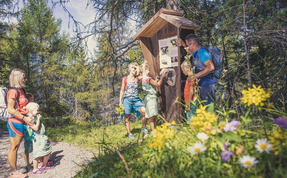 Almparadies Gerlosstein