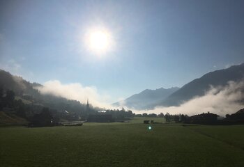 Ausblick Wald Sommer