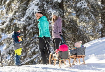 Winterwanderweg Almpardies Gerlosstein
