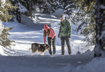 Winterwandern in der Zillertal Arena
