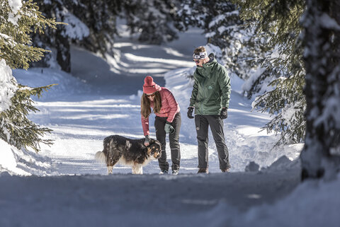 Ein Mann und eine Frau streicheln einen Hund