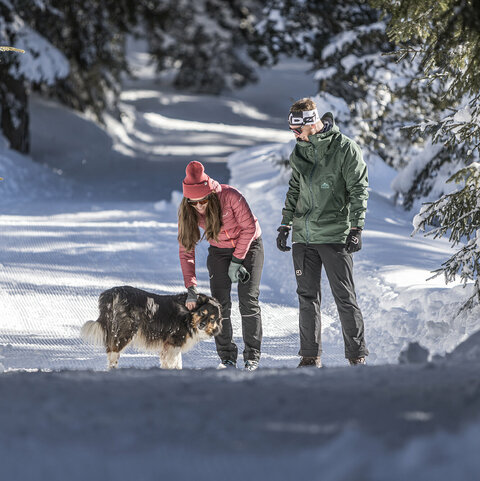 Erlebnis Winterwandern