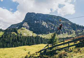 Almflieger Gerlosstein