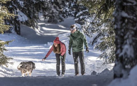 Winterwandern