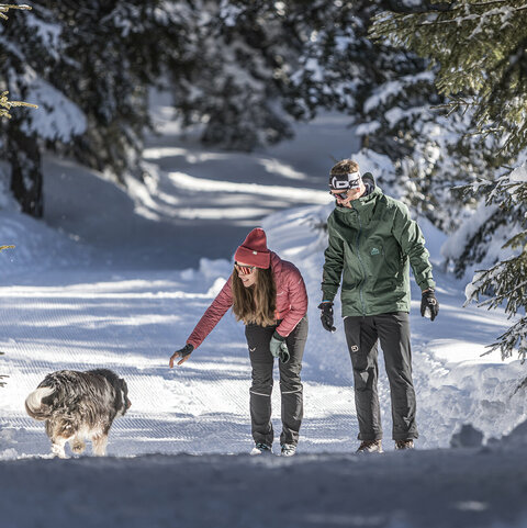 Ein Mann und eine Frau machen einen Spaziergang durch den Schnee und begegnen einem Hund