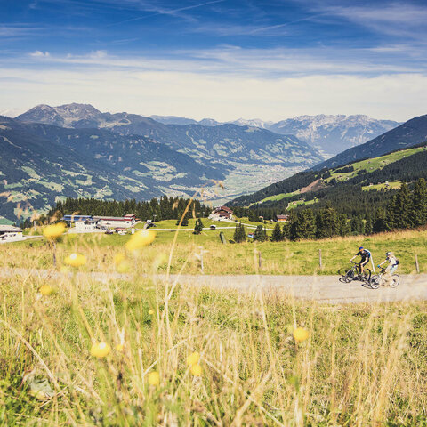 Zwei Radfahrer radeln durch die Landschaft.