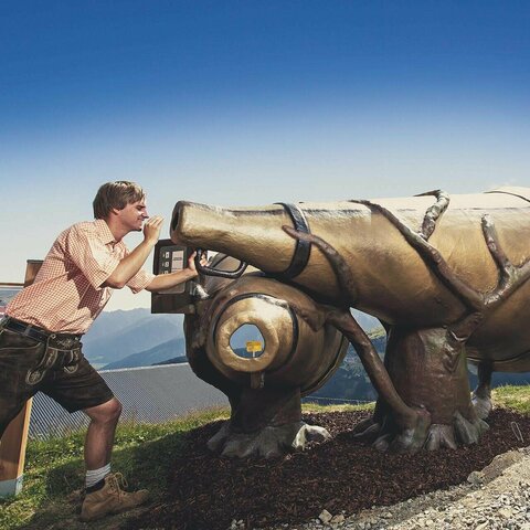 Ein Mann und eine Frau stehen neben einem riesen Alphorn.