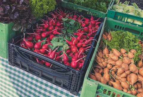 Gemüseverkauf beim Bauernmarkt