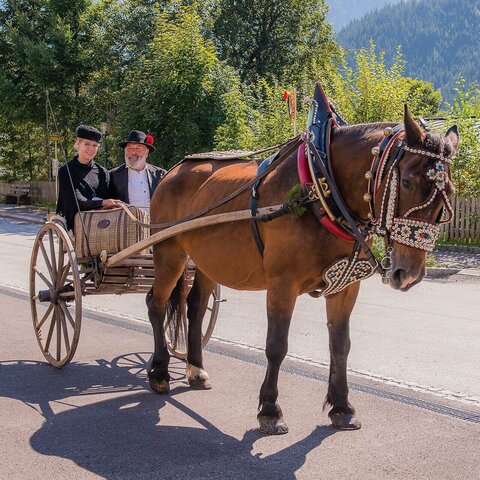 Ein Pferd zieht eine Frau und einen Mann auf einer Zwei-Rad-Kutsche