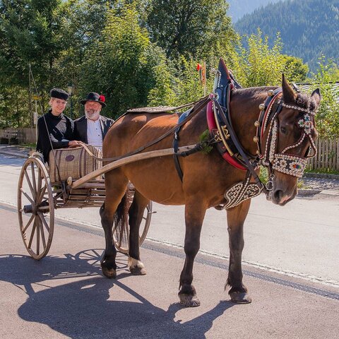 Ein Pferd zieht eine Frau und einen Mann auf einer Zwei-Rad-Kutsche