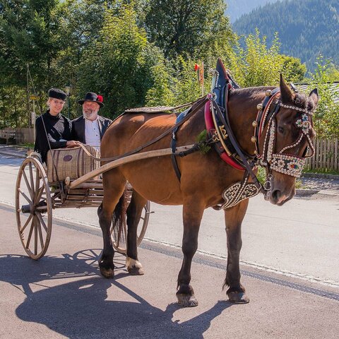 Ein Pferd zieht eine Frau und einen Mann auf einer Zwei-Rad-Kutsche