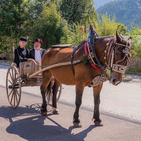 Ein Pferd zieht eine Frau und einen Mann auf einer Zwei-Rad-Kutsche