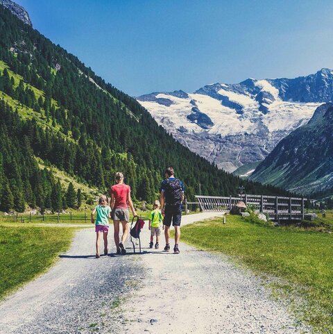 Eine Familie wandert in der Natur