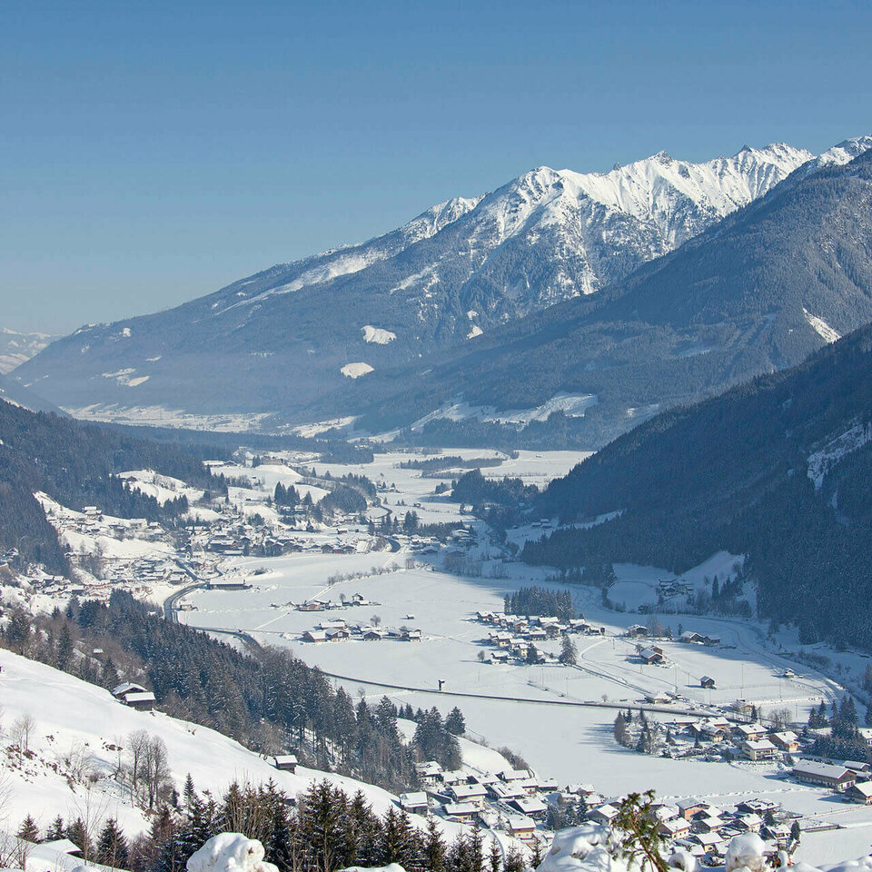 Über Wald & Königsleiten