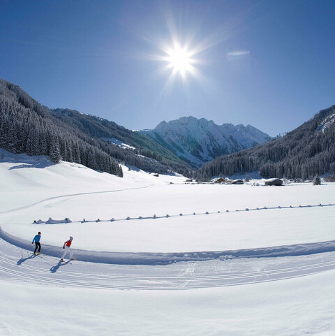 Zwei Langläufer auf einer verschneiten, sonnigen Strecke