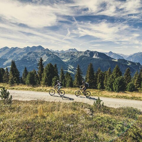 Radfahrer radeln vor einer traumhaften Bergkulisse.