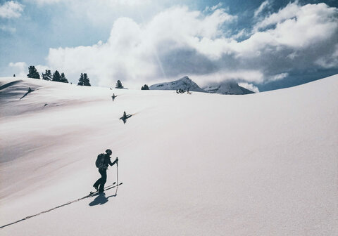 Schifahrer auf der Piste