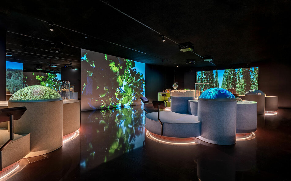 Blick in das Braukunsthaus