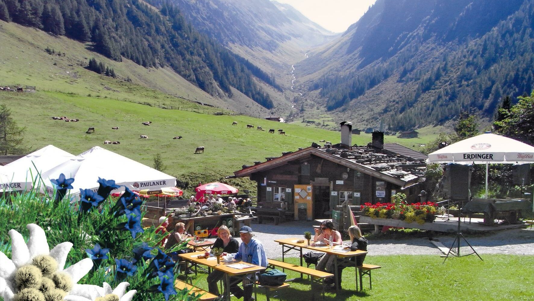 Schwarzachalm.jpg
