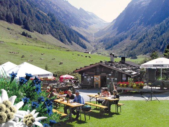 Musikalischer Almsommer auf der Schwarzachalm