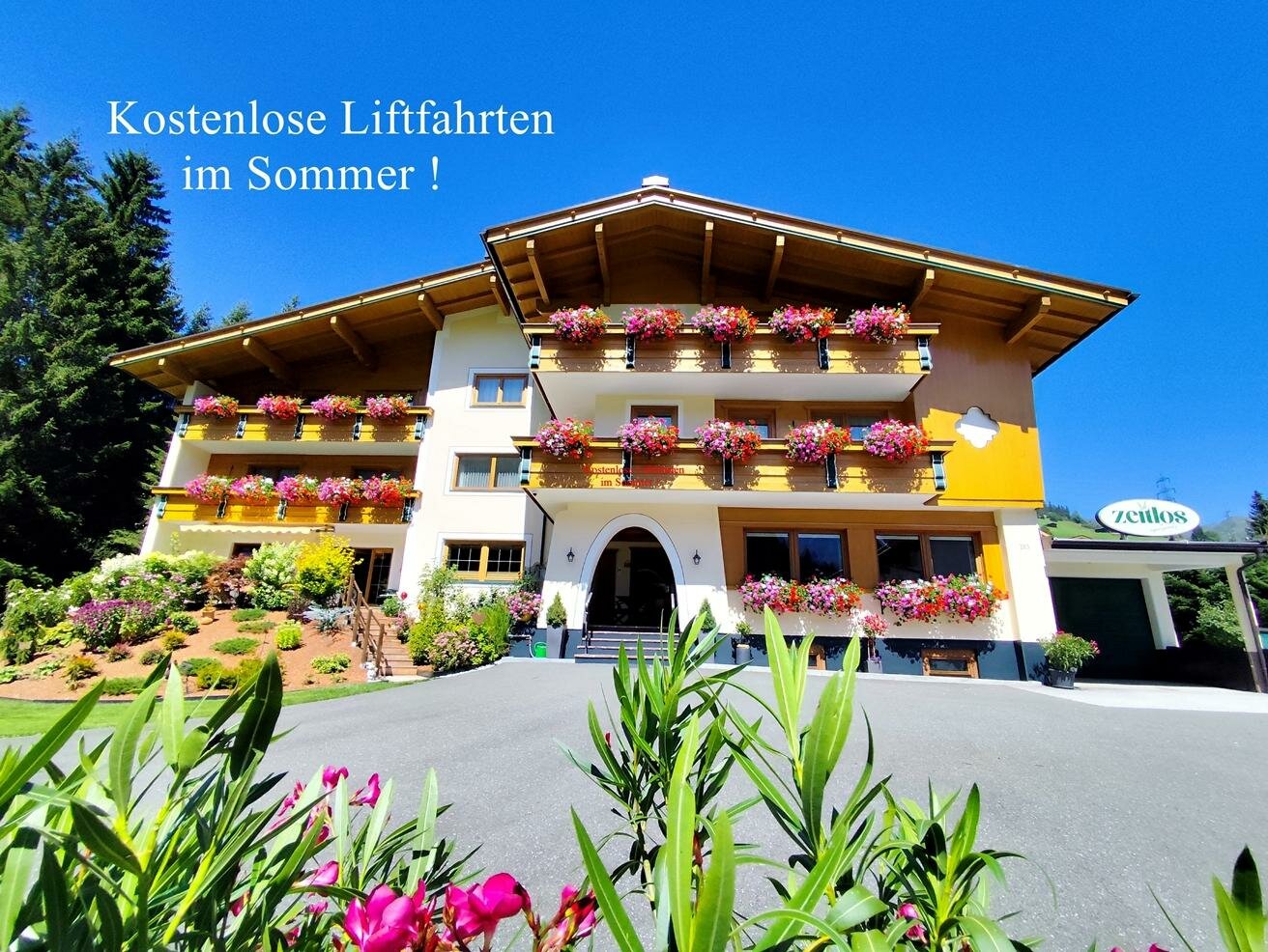Zeitlos-Sommer.jpg