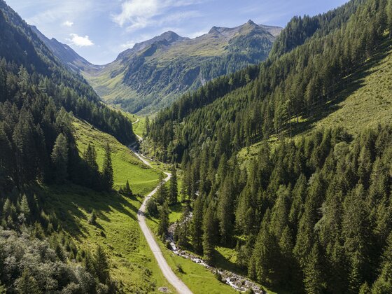 Aktiv Wellness - Wanderung zum Schwarzachtal