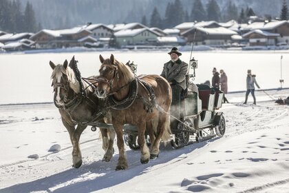 Pferdeschlittenfahrt.jpg