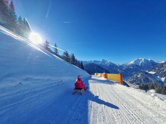 Alpenzeit Zillertal Apartments