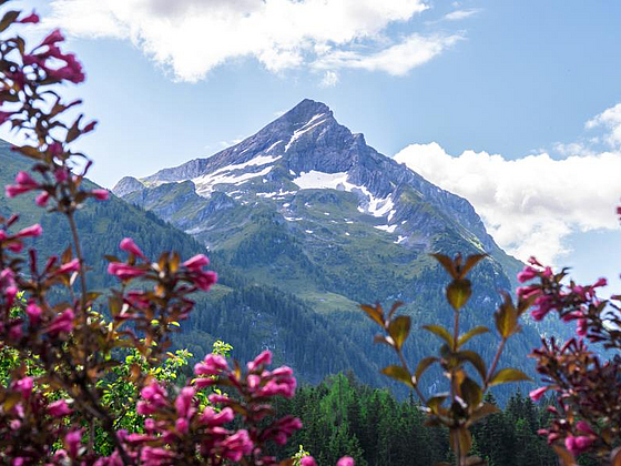 Haus Alpengruß