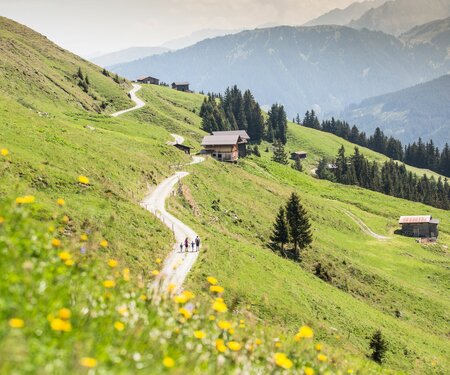 Kartenelement Titelbild