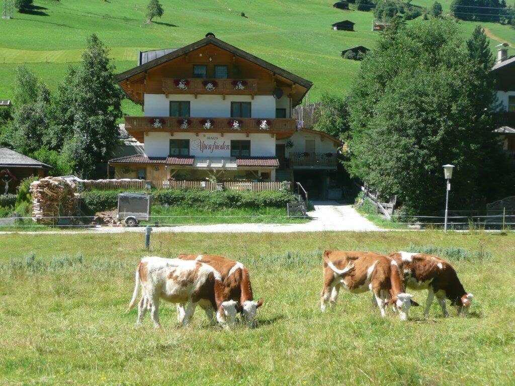 Das-Haus-Alpenfrieden-im-Sommer.jpg