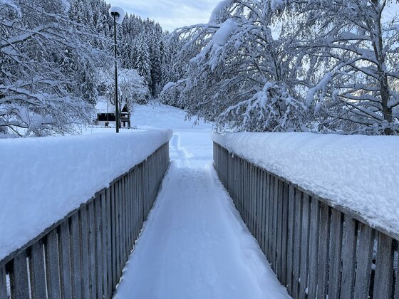 Appartement Berghof "Dettis Place"