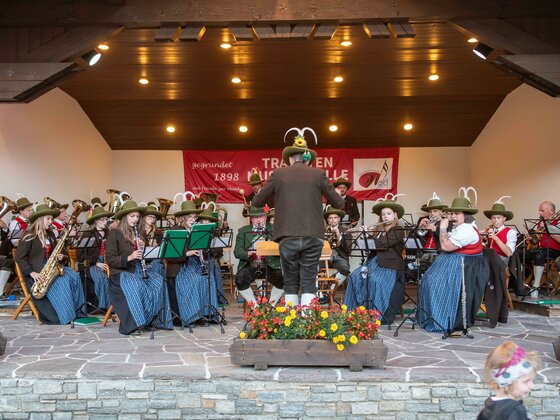 Konzert der Trachtenmusikkapelle Wald mit Bauernmarkt