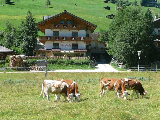 Ferienwohnung Alpenfrieden