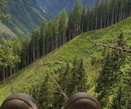 Kartenelement Titelbild