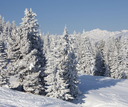 Kartenelement Titelbild