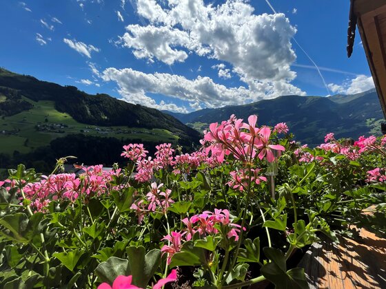 Landhaus Kathrin u. Manfred Höllwarth