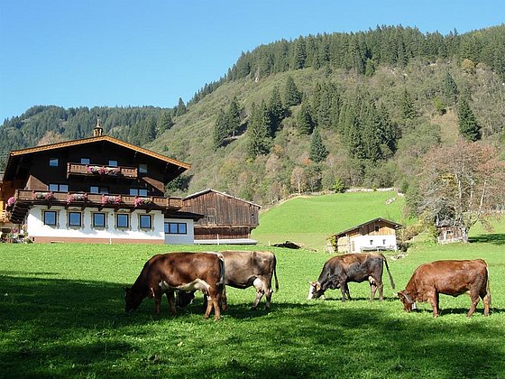 Unterbergbauer