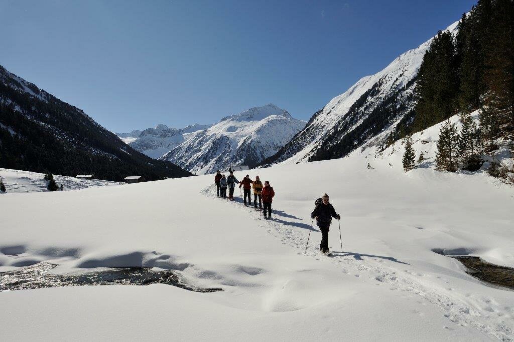 Schneeschuhwanderung.jpg