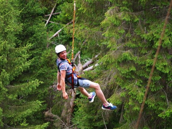 Flying Fox