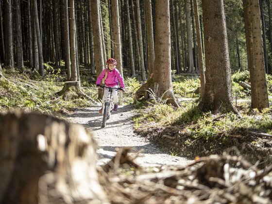 Erlebnisreichweg Gerlos