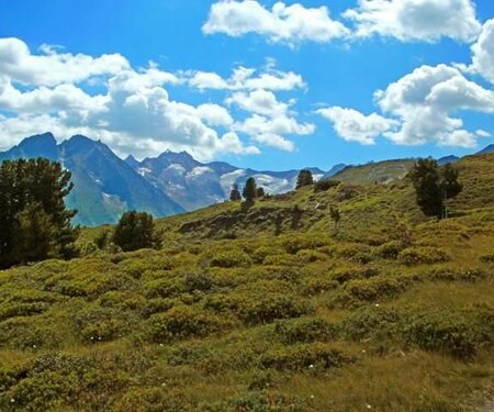 Kartenelement Titelbild