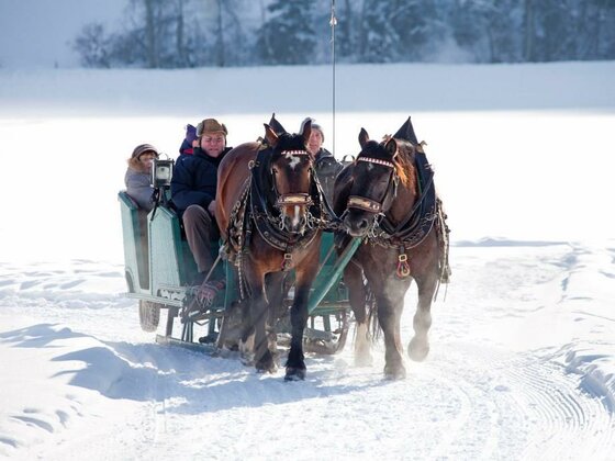 Pferdeschlittenfahrten