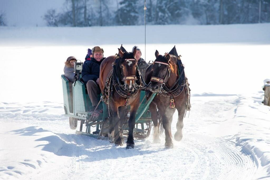 Pferdeschlitten.jpg