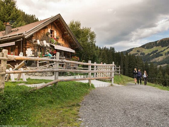 Bärschlagalm (1.460 m)