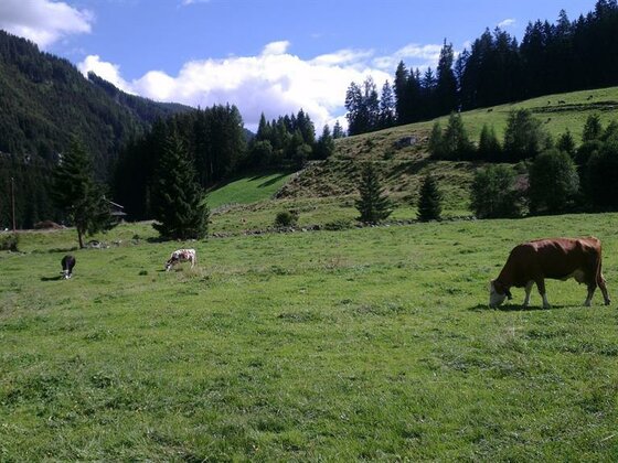 Haus Seespitze