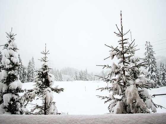 Carpe Diem 174 Direkt Holidays