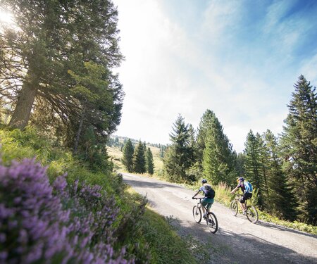 Kartenelement Titelbild